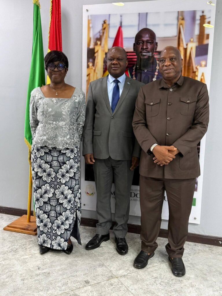 Vision Guinée